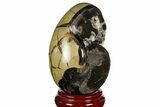 Septarian Dragon Egg Geode - Black Crystals #157872-1